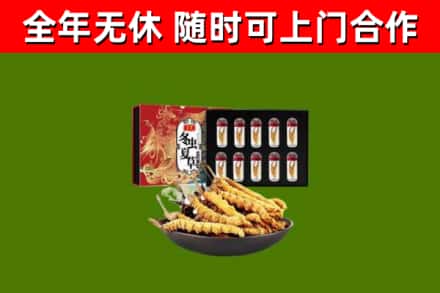 吉县回收冬虫夏草价格