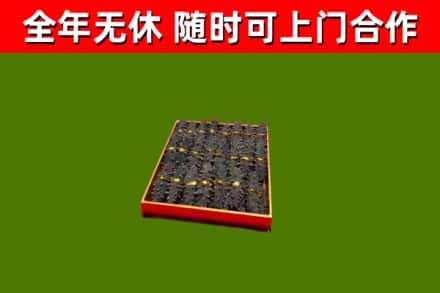 吉县回收海参